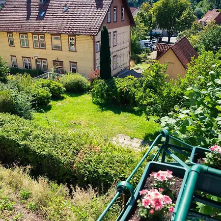 Walter Bad Grund